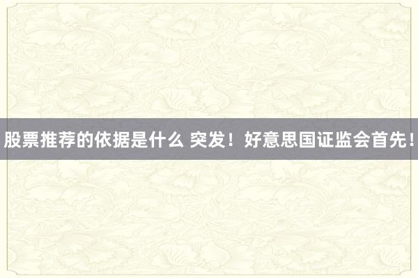 股票推荐的依据是什么 突发！好意思国证监会首先！