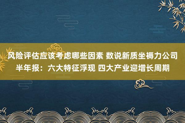 风险评估应该考虑哪些因素 数说新质坐褥力公司半年报：六大特征浮现 四大产业迎增长周期