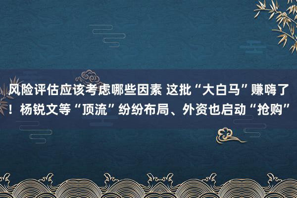 风险评估应该考虑哪些因素 这批“大白马”赚嗨了！杨锐文等“顶流”纷纷布局、外资也启动“抢购”