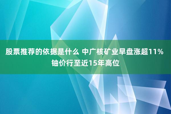 股票推荐的依据是什么 中广核矿业早盘涨超11% 铀价行至近15年高位