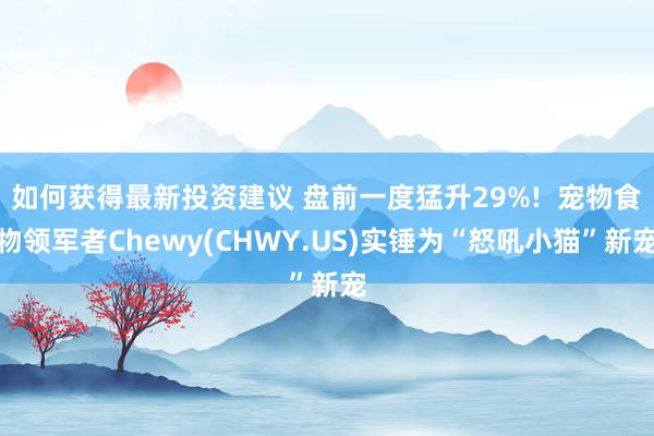 如何获得最新投资建议 盘前一度猛升29%!  宠物食物领军者Chewy(CHWY.US)实锤为“怒吼小猫”新宠