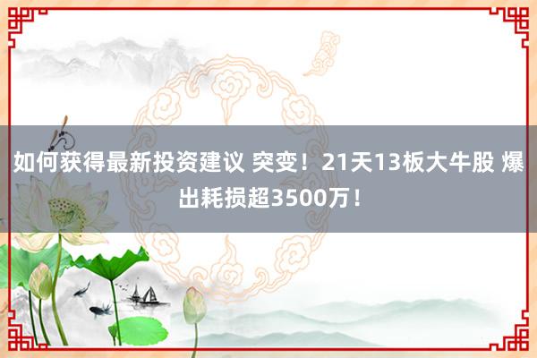 如何获得最新投资建议 突变！21天13板大牛股 爆出耗损超3500万！