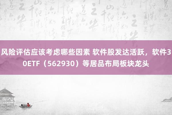 风险评估应该考虑哪些因素 软件股发达活跃，软件30ETF（562930）等居品布局板块龙头