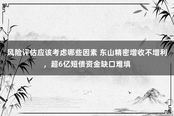 风险评估应该考虑哪些因素 东山精密增收不增利，超6亿短债资金缺口难填