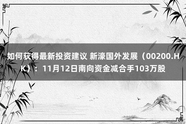 如何获得最新投资建议 新濠国外发展（00200.HK）：11月12日南向资金减合手103万股