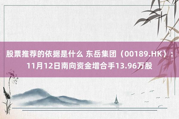 股票推荐的依据是什么 东岳集团（00189.HK）：11月12日南向资金增合手13.96万股