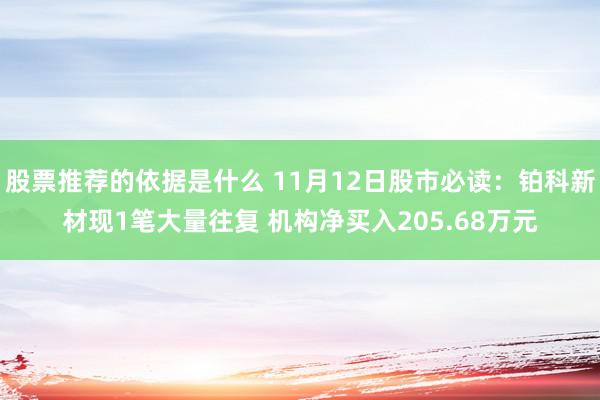 股票推荐的依据是什么 11月12日股市必读：铂科新材现1笔大量往复 机构净买入205.68万元