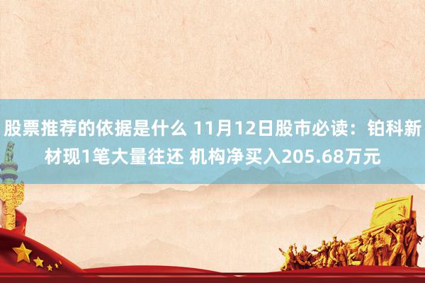 股票推荐的依据是什么 11月12日股市必读：铂科新材现1笔大量往还 机构净买入205.68万元