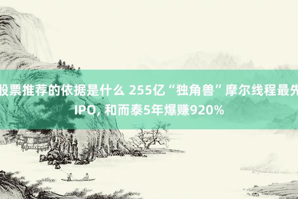 股票推荐的依据是什么 255亿“独角兽”摩尔线程最先IPO, 和而泰5年爆赚920%