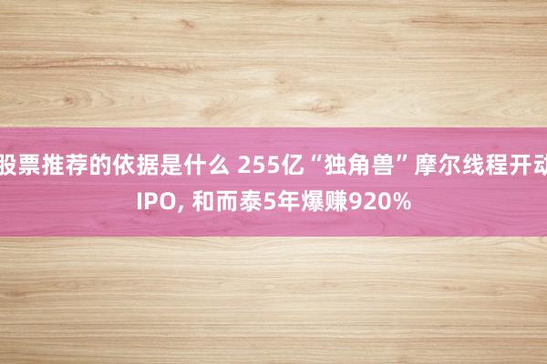 股票推荐的依据是什么 255亿“独角兽”摩尔线程开动IPO, 和而泰5年爆赚920%