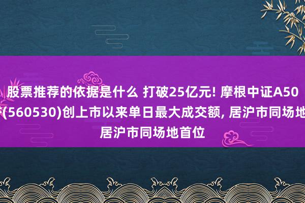 股票推荐的依据是什么 打破25亿元! 摩根中证A500ETF(560530)创上市以来单日最大成交额, 居沪市同场地首位