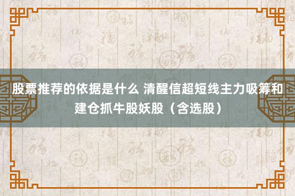 股票推荐的依据是什么 清醒信超短线主力吸筹和建仓抓牛股妖股（含选股）