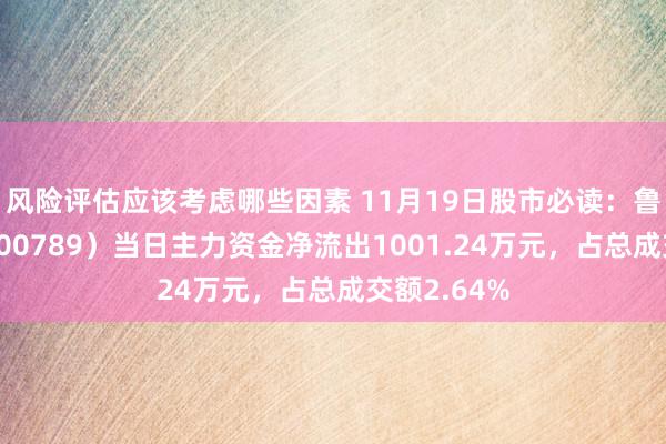 风险评估应该考虑哪些因素 11月19日股市必读：鲁抗医药（600789）当日主力资金净流出1001.24万元，占总成交额2.64%