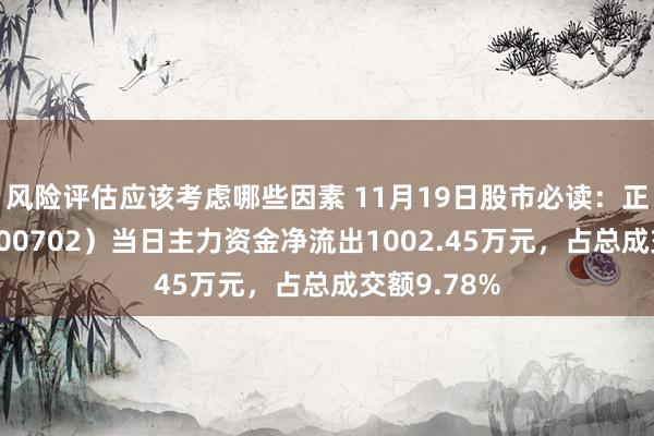 风险评估应该考虑哪些因素 11月19日股市必读：正虹科技（000702）当日主力资金净流出1002.45万元，占总成交额9.78%