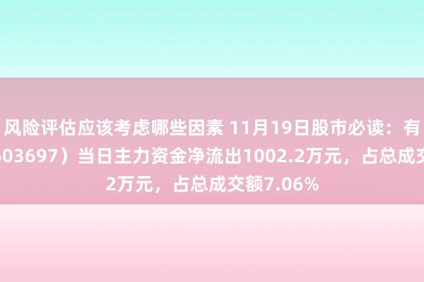 风险评估应该考虑哪些因素 11月19日股市必读：有友食物（603697）当日主力资金净流出1002.2万元，占总成交额7.06%