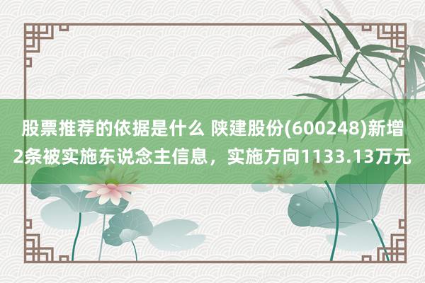 股票推荐的依据是什么 陕建股份(600248)新增2条被实施东说念主信息，实施方向1133.13万元