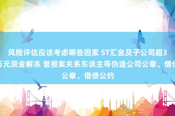 风险评估应该考虑哪些因素 ST汇金及子公司超3000万元资金解冻 曾报案关系东谈主等伪造公司公章、借债公约