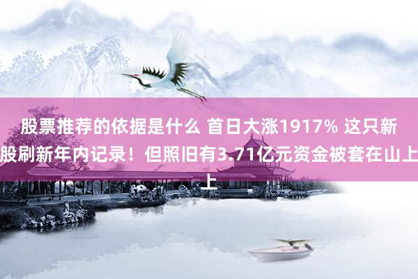 股票推荐的依据是什么 首日大涨1917% 这只新股刷新年内记录！但照旧有3.71亿元资金被套在山上