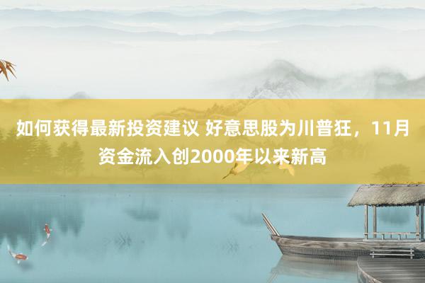 如何获得最新投资建议 好意思股为川普狂，11月资金流入创2000年以来新高