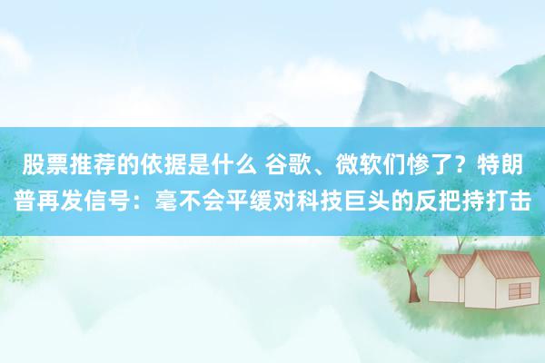 股票推荐的依据是什么 谷歌、微软们惨了？特朗普再发信号：毫不会平缓对科技巨头的反把持打击