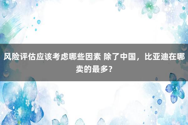 风险评估应该考虑哪些因素 除了中国，比亚迪在哪卖的最多？