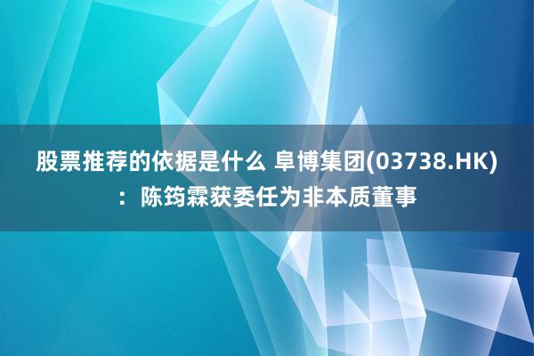 股票推荐的依据是什么 阜博集团(03738.HK)：陈筠霖获委任为非本质董事