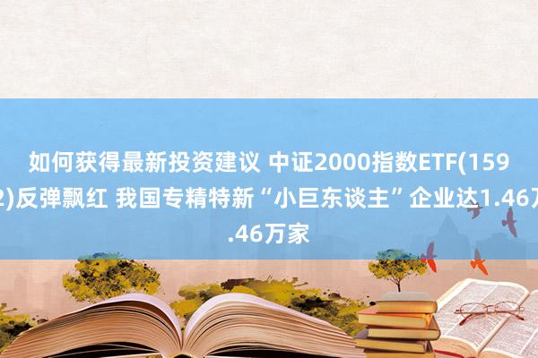 如何获得最新投资建议 中证2000指数ETF(159532)反弹飘红 我国专精特新“小巨东谈主”企业达1.46万家