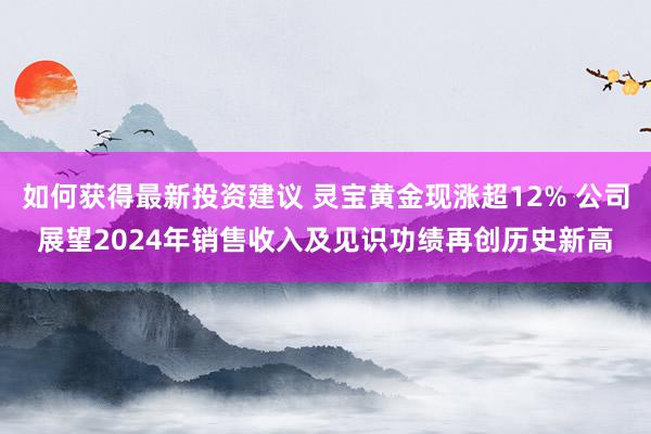 如何获得最新投资建议 灵宝黄金现涨超12% 公司展望2024年销售收入及见识功绩再创历史新高