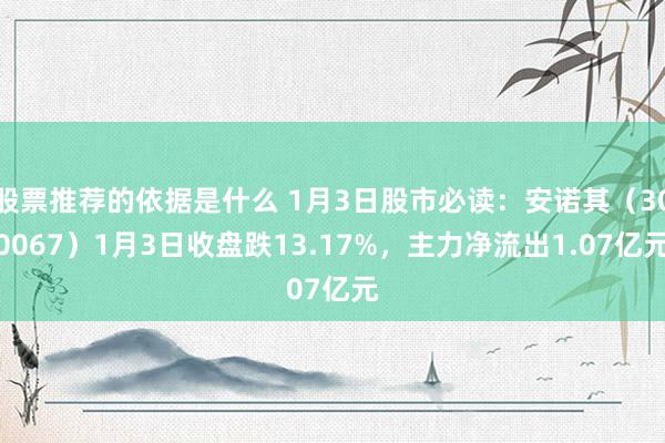 股票推荐的依据是什么 1月3日股市必读：安诺其（300067）1月3日收盘跌13.17%，主力净流出1.07亿元