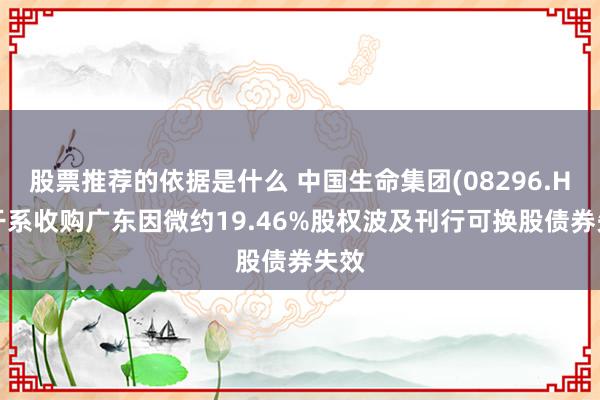 股票推荐的依据是什么 中国生命集团(08296.HK)干系收购广东因微约19.46%股权波及刊行可换股债券失效