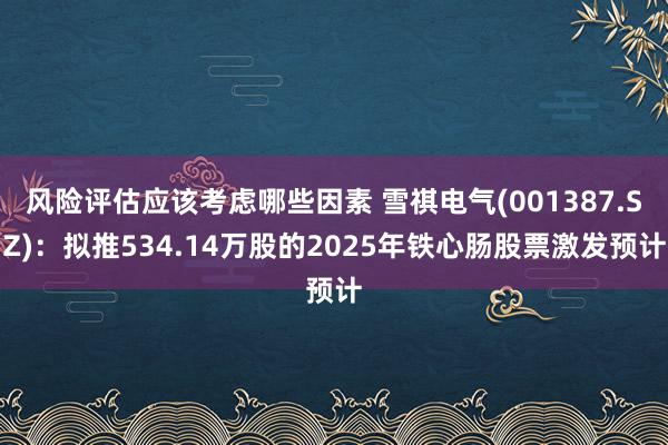 风险评估应该考虑哪些因素 雪祺电气(001387.SZ)：拟推534.14万股的2025年铁心肠股票激发预计