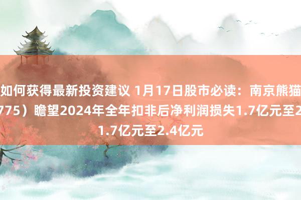 如何获得最新投资建议 1月17日股市必读：南京熊猫（600775）瞻望2024年全年扣非后净利润损失1.7亿元至2.4亿元