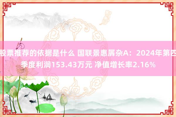 股票推荐的依据是什么 国联景惠羼杂A：2024年第四季度利润153.43万元 净值增长率2.16%