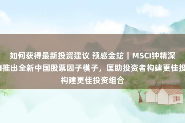 如何获得最新投资建议 预感金蛇｜MSCI钟精深：MSCI推出全新中国股票因子模子，匡助投资者构建更佳投资组合