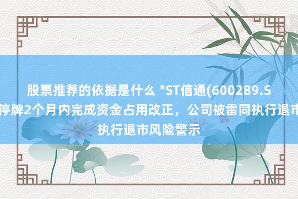 股票推荐的依据是什么 *ST信通(600289.SH)：未在停牌2个月内完成资金占用改正，公司被雷同执行退市风险警示