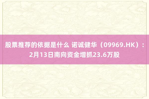 股票推荐的依据是什么 诺诚健华（09969.HK）：2月13日南向资金增抓23.6万股