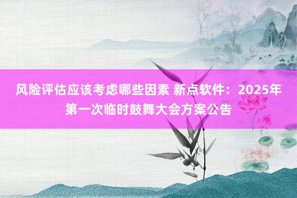 风险评估应该考虑哪些因素 新点软件：2025年第一次临时鼓舞大会方案公告