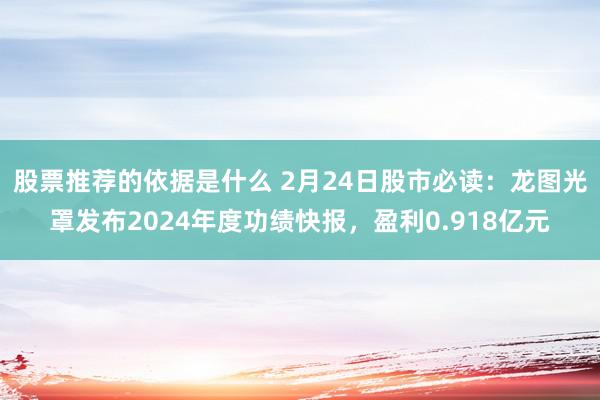 股票推荐的依据是什么 2月24日股市必读：龙图光罩发布2024年度功绩快报，盈利0.918亿元