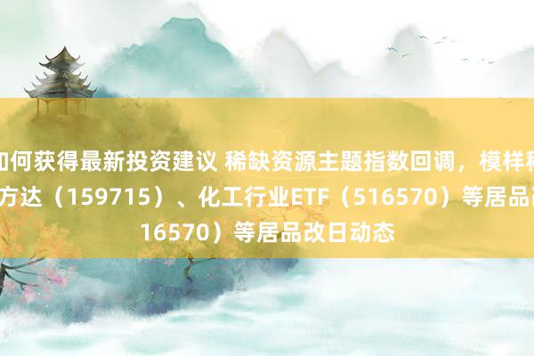 如何获得最新投资建议 稀缺资源主题指数回调，模样稀土ETF易方达（159715）、化工行业ETF（516570）等居品改日动态