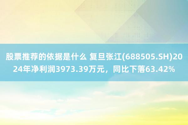 股票推荐的依据是什么 复旦张江(688505.SH)2024年净利润3973.39万元，同比下落63.42%