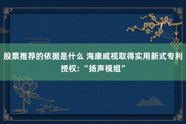 股票推荐的依据是什么 海康威视取得实用新式专利授权: “扬声模组”