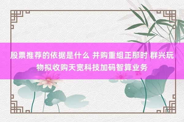 股票推荐的依据是什么 并购重组正那时 群兴玩物拟收购天宽科技加码智算业务