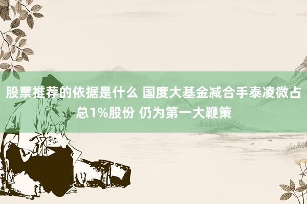 股票推荐的依据是什么 国度大基金减合手泰凌微占总1%股份 仍为第一大鞭策