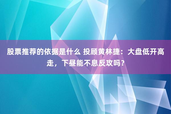 股票推荐的依据是什么 投顾黄林捷：大盘低开高走，下昼能不息反攻吗？