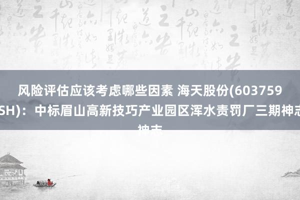 风险评估应该考虑哪些因素 海天股份(603759.SH)：中标眉山高新技巧产业园区浑水责罚厂三期神志