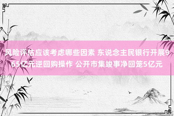 风险评估应该考虑哪些因素 东说念主民银行开展965亿元逆回购操作 公开市集竣事净回笼5亿元