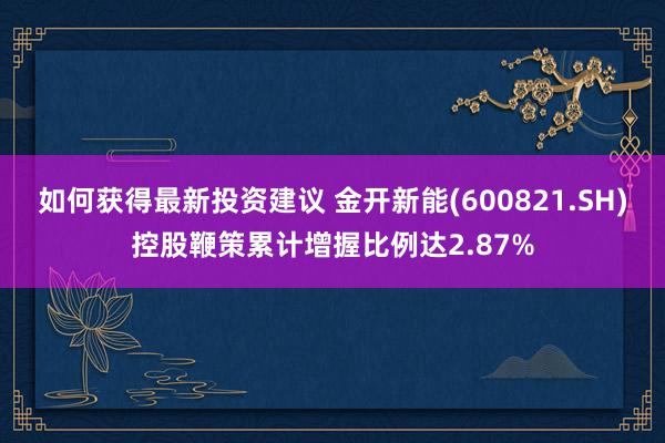 如何获得最新投资建议 金开新能(600821.SH)控股鞭策累计增握比例达2.87%