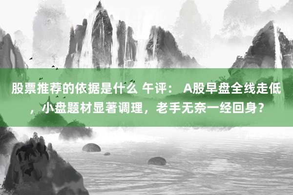 股票推荐的依据是什么 午评： A股早盘全线走低，小盘题材显著调理，老手无奈一经回身？