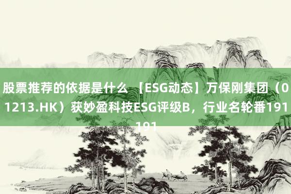 股票推荐的依据是什么 【ESG动态】万保刚集团（01213.HK）获妙盈科技ESG评级B，行业名轮番191